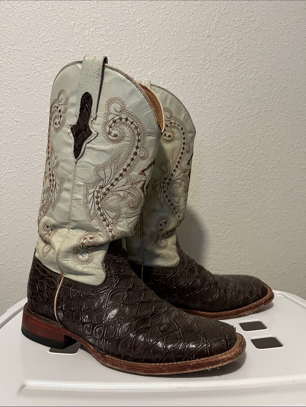 Ferrini Square Toe Boots